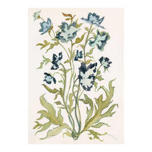 Botanical Print: Prussian Poppies