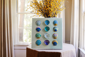 24" x 24"Shell Artwork by Erin Donahue Tice