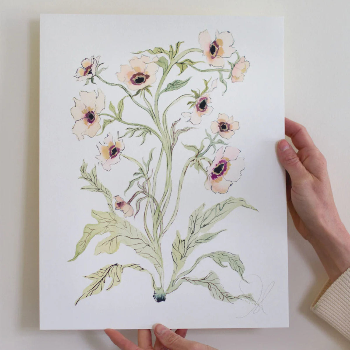 Botanical Print: Slipper & Sage