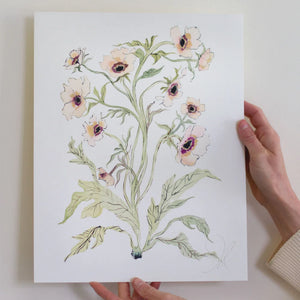 Botanical Print: Slipper & Sage