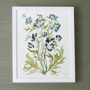Botanical Print: Prussian Poppies
