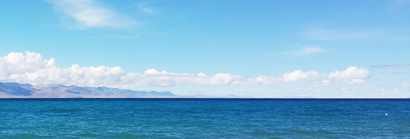 Champion Estate Backpack