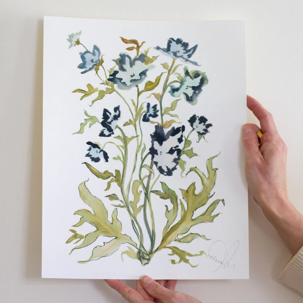 Botanical Print: Prussian Poppies