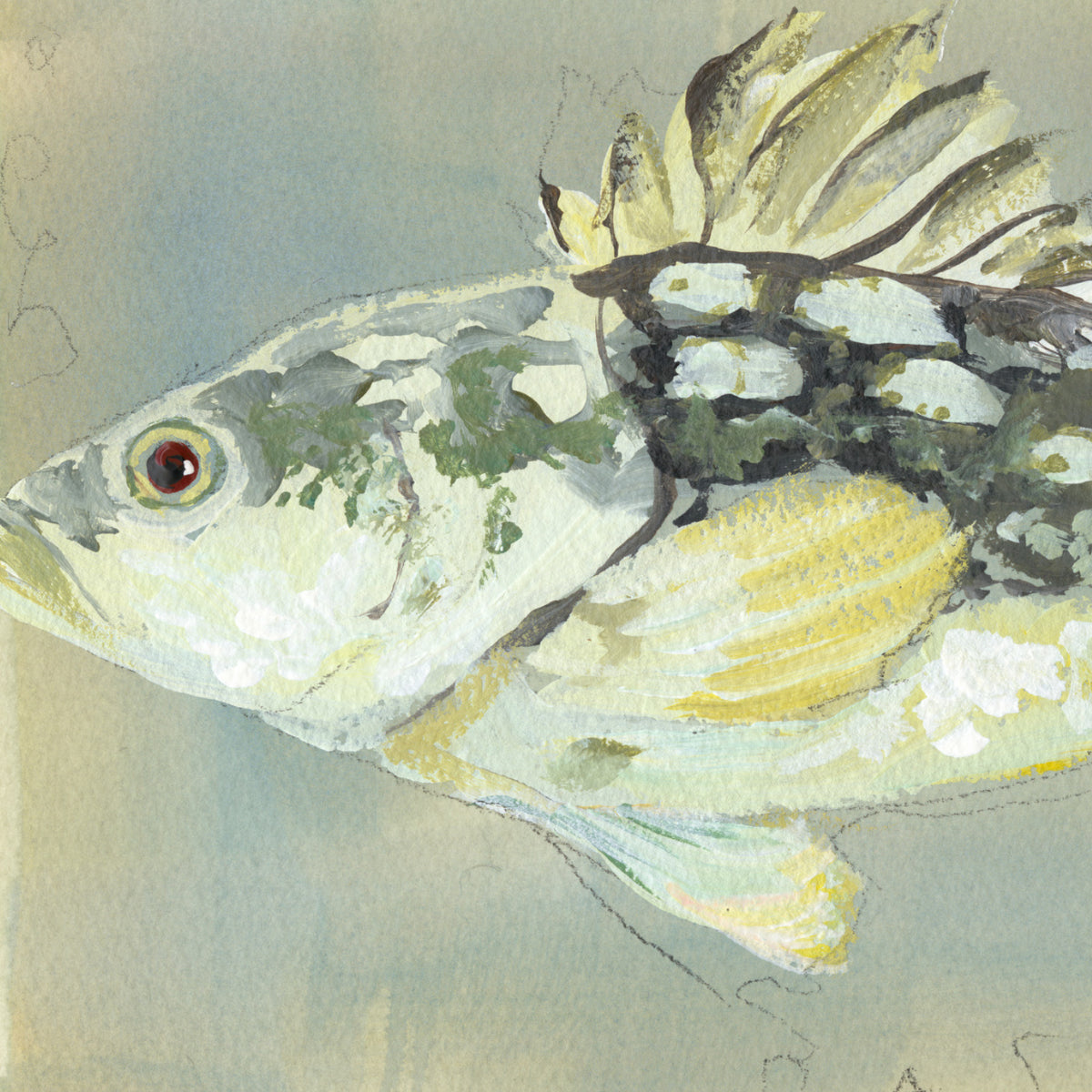 inslee watercolor art print fish