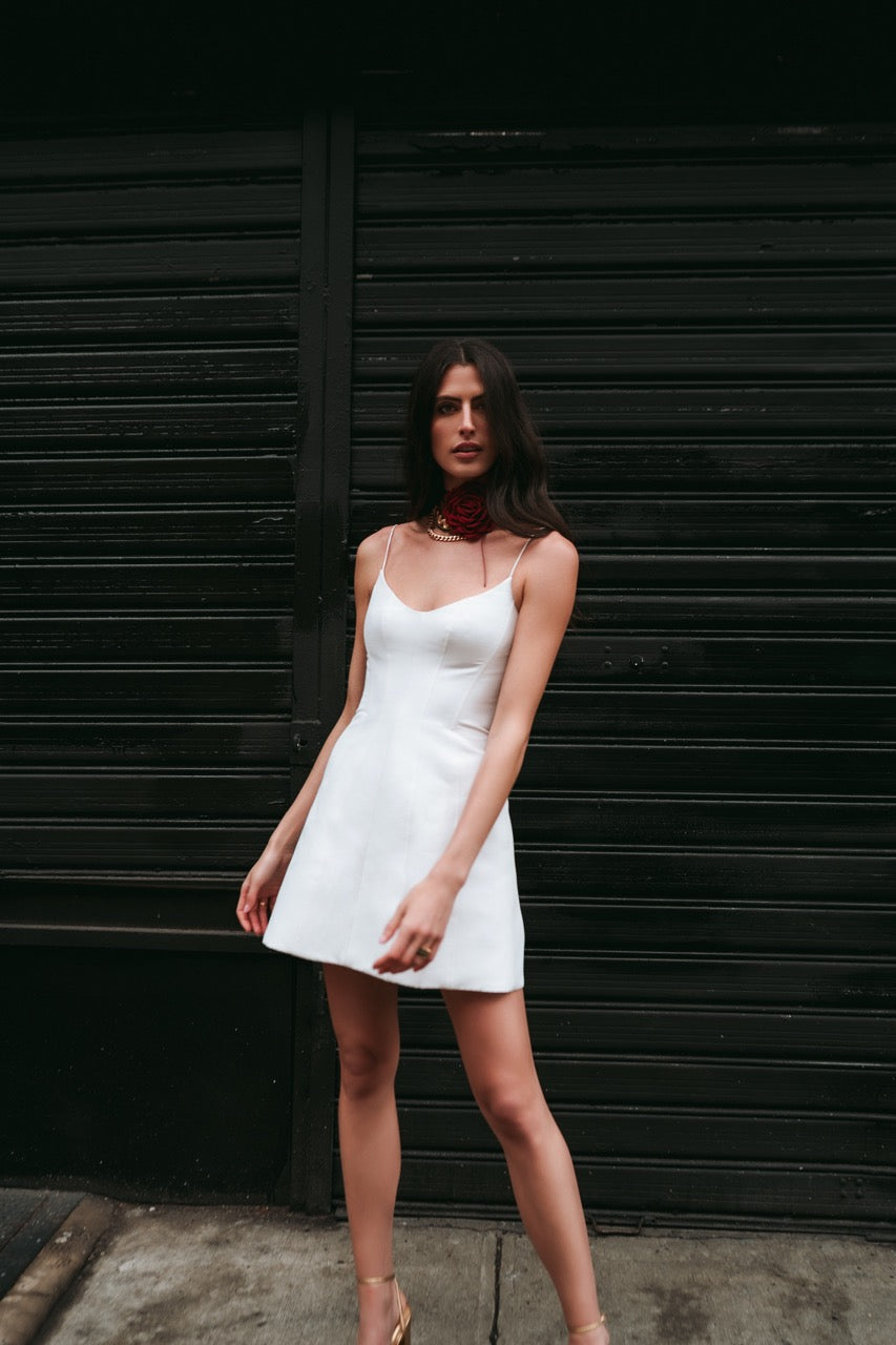 Marci Dress in Ivory Ivory / 8 Marci Dress in Ivory Ivory / 8