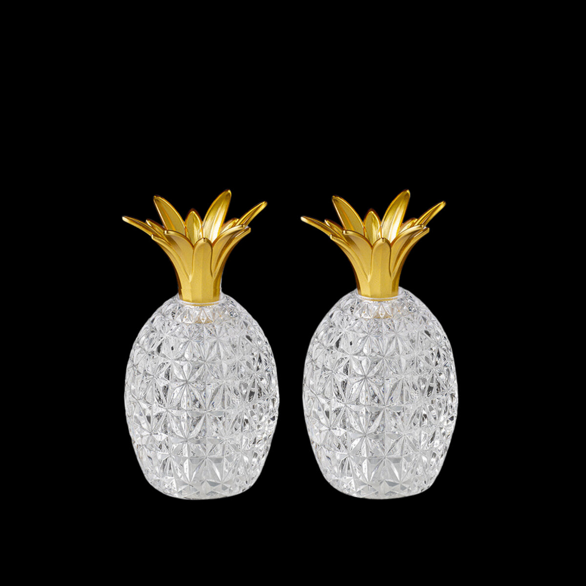 Caterina & Vittoria Acrylic Salt and Pepper