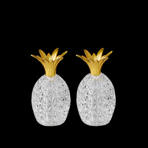 Caterina & Vittoria Acrylic Salt and Pepper