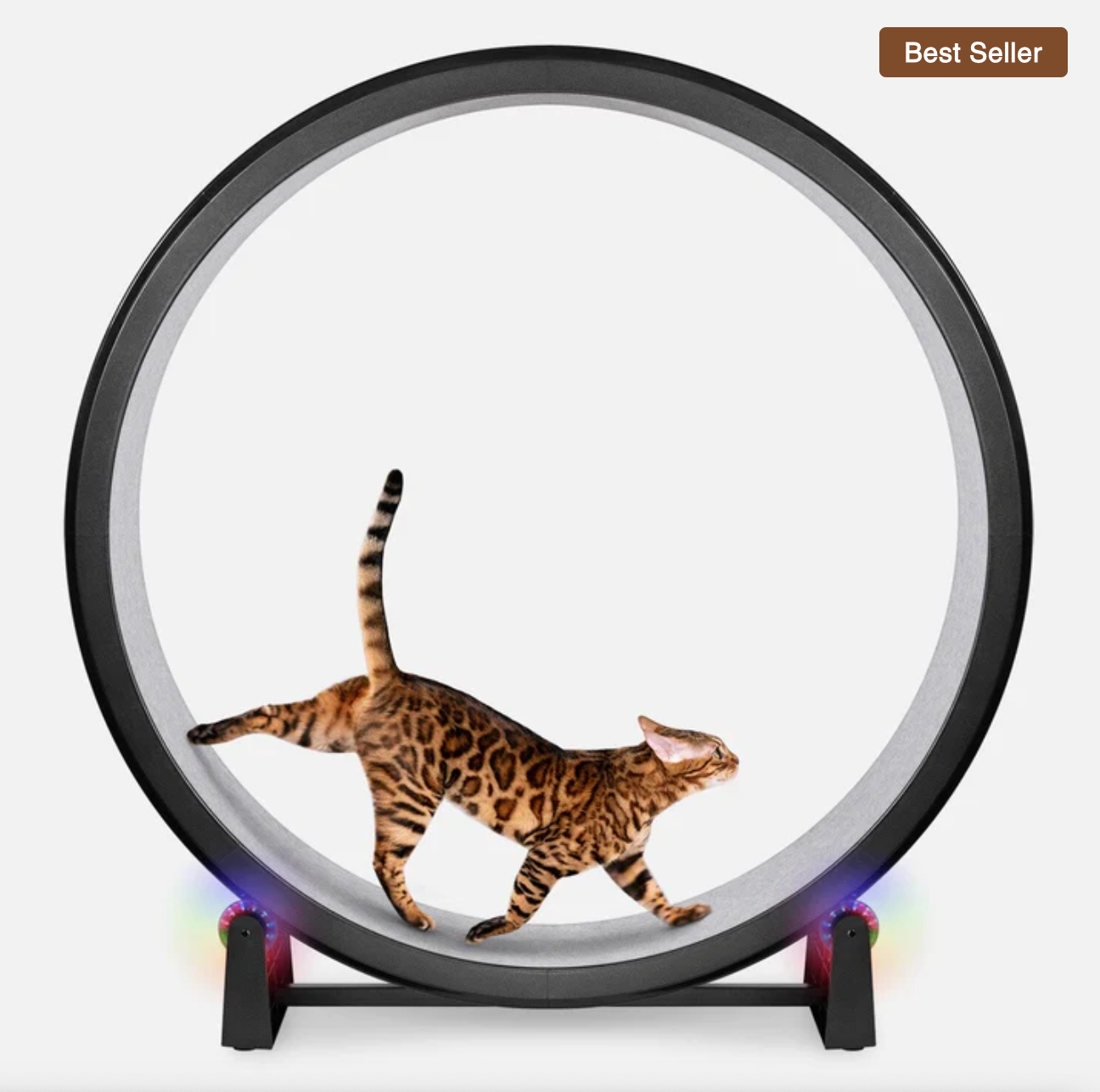 Cat Exercise Wheel
