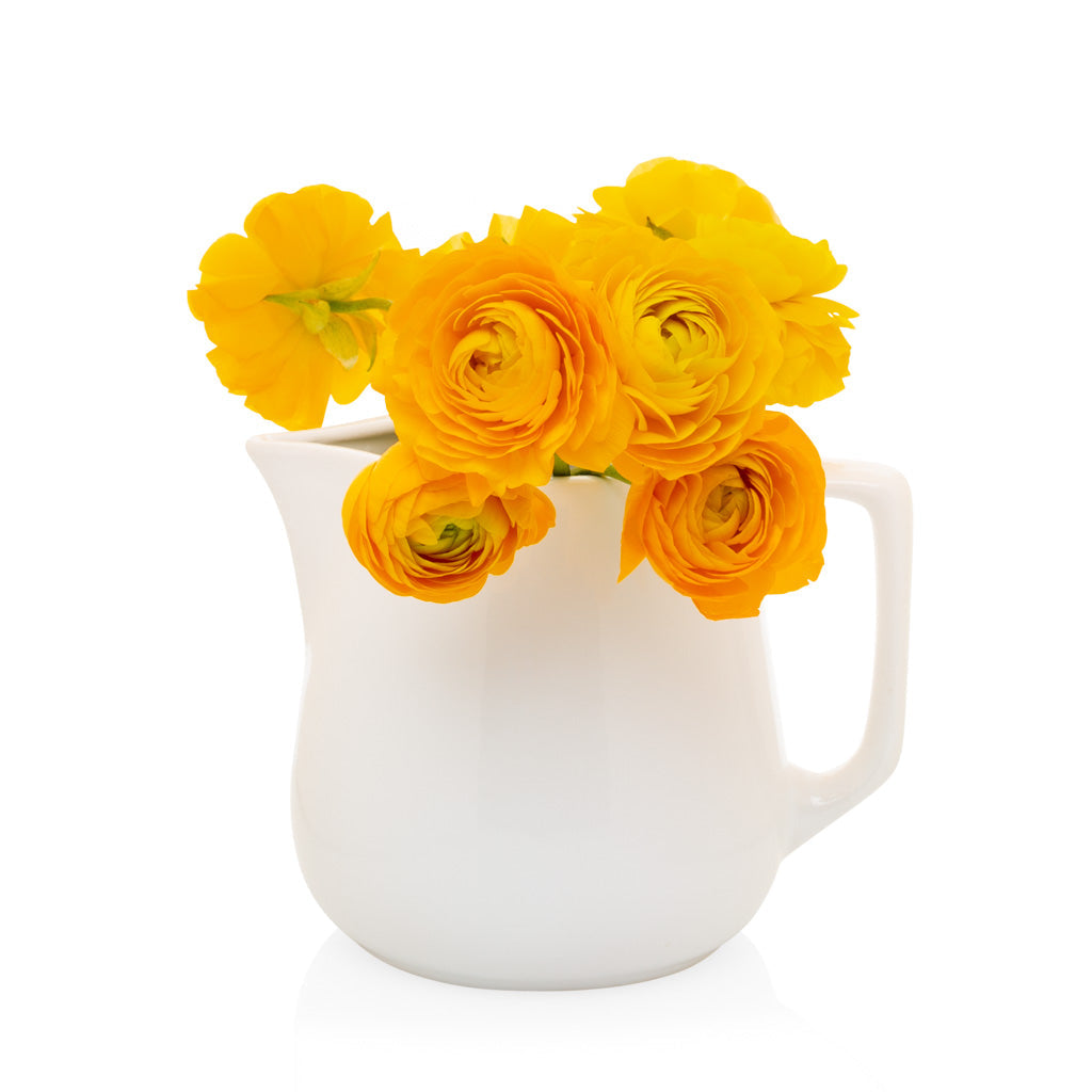 Small Milk Pitcher