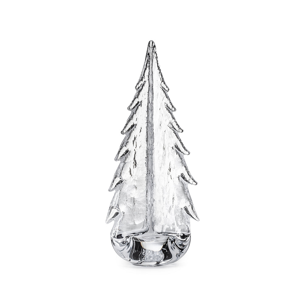 Crackle Evergreen in 14" Gift Box (14")