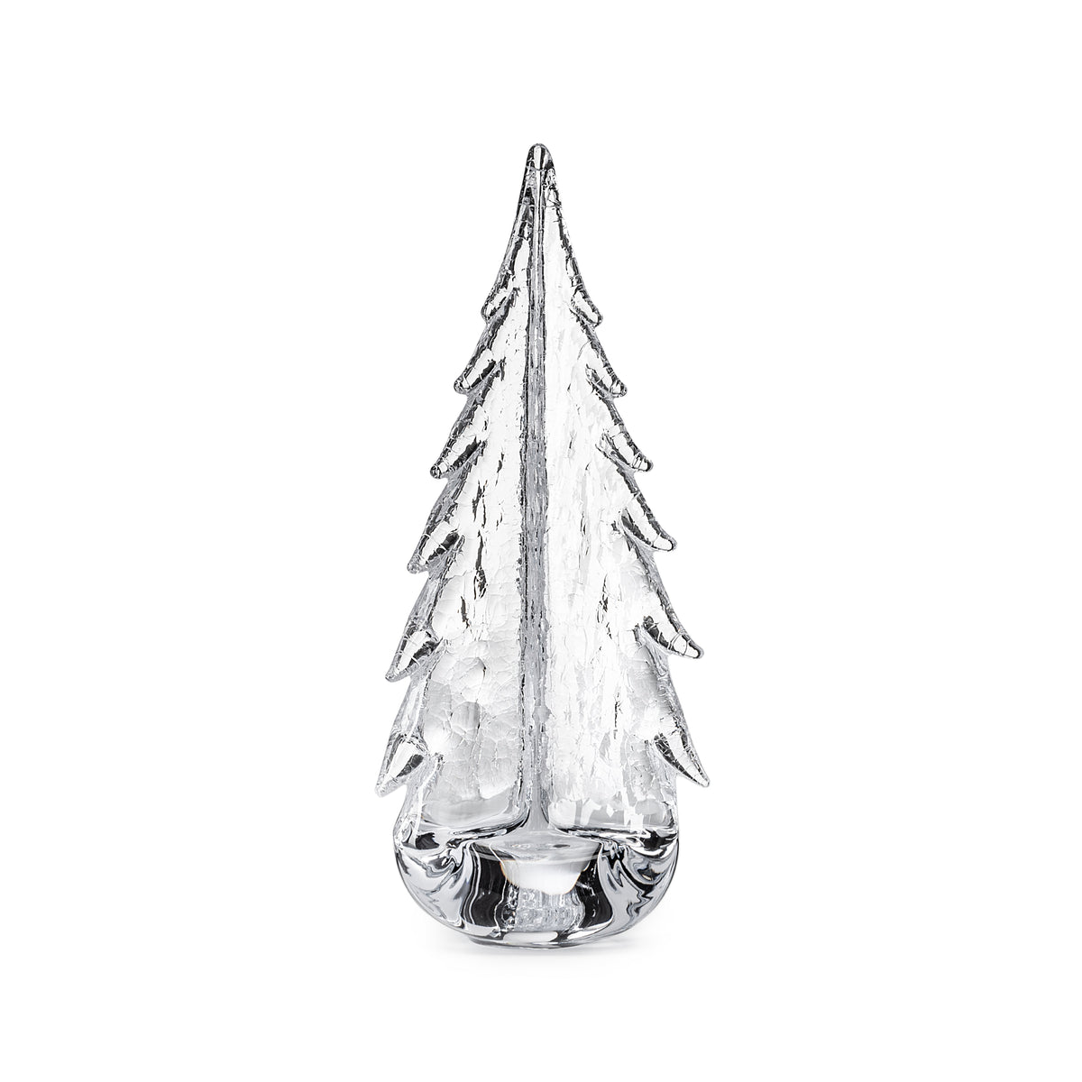 Crackle Evergreen in 14" Gift Box (14")