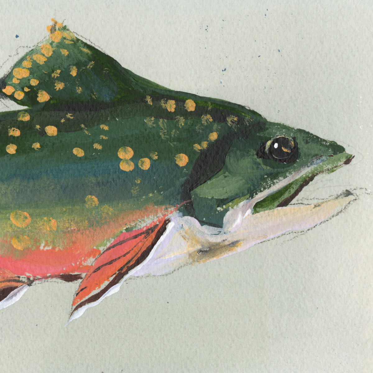 inslee watercolor art print fish