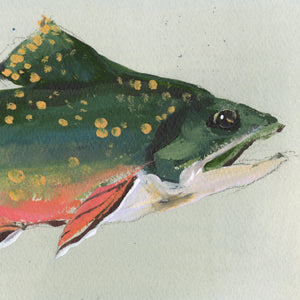 inslee watercolor art print fish