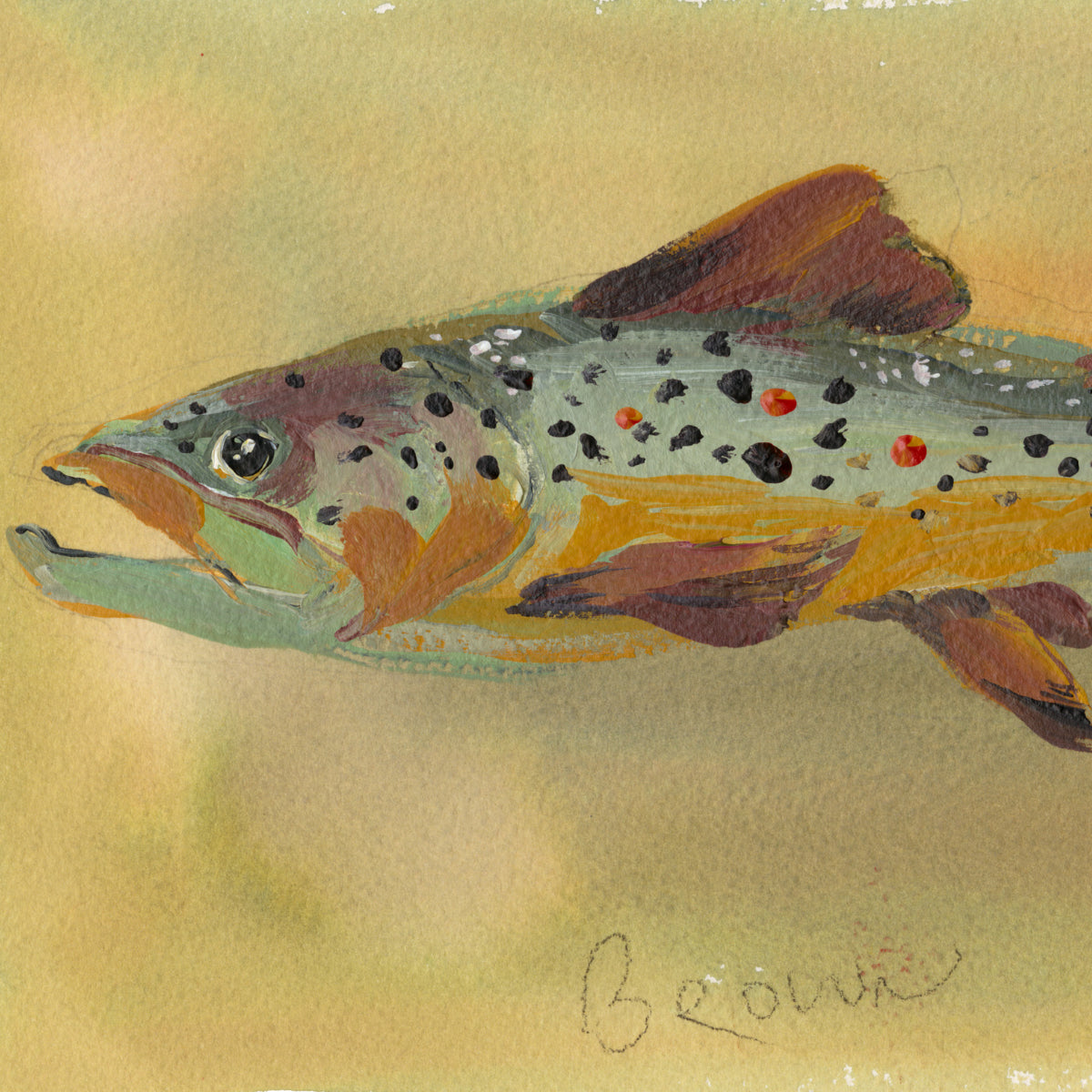 inslee watercolor art print fish