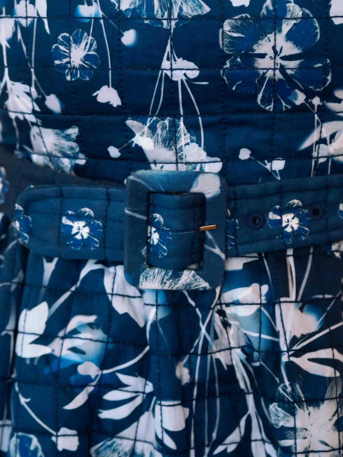 Clara Dress in Midnight Garden
