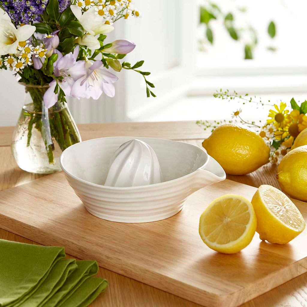 Sophie Conran 7" Juicer