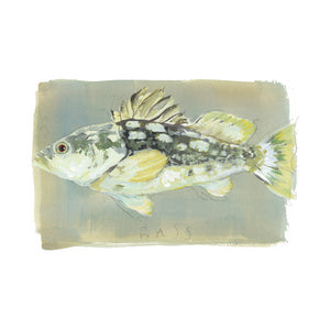 inslee watercolor art print fish