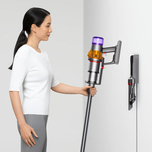 V15 Detect Cordless Vacuum in Yellow & Nickel