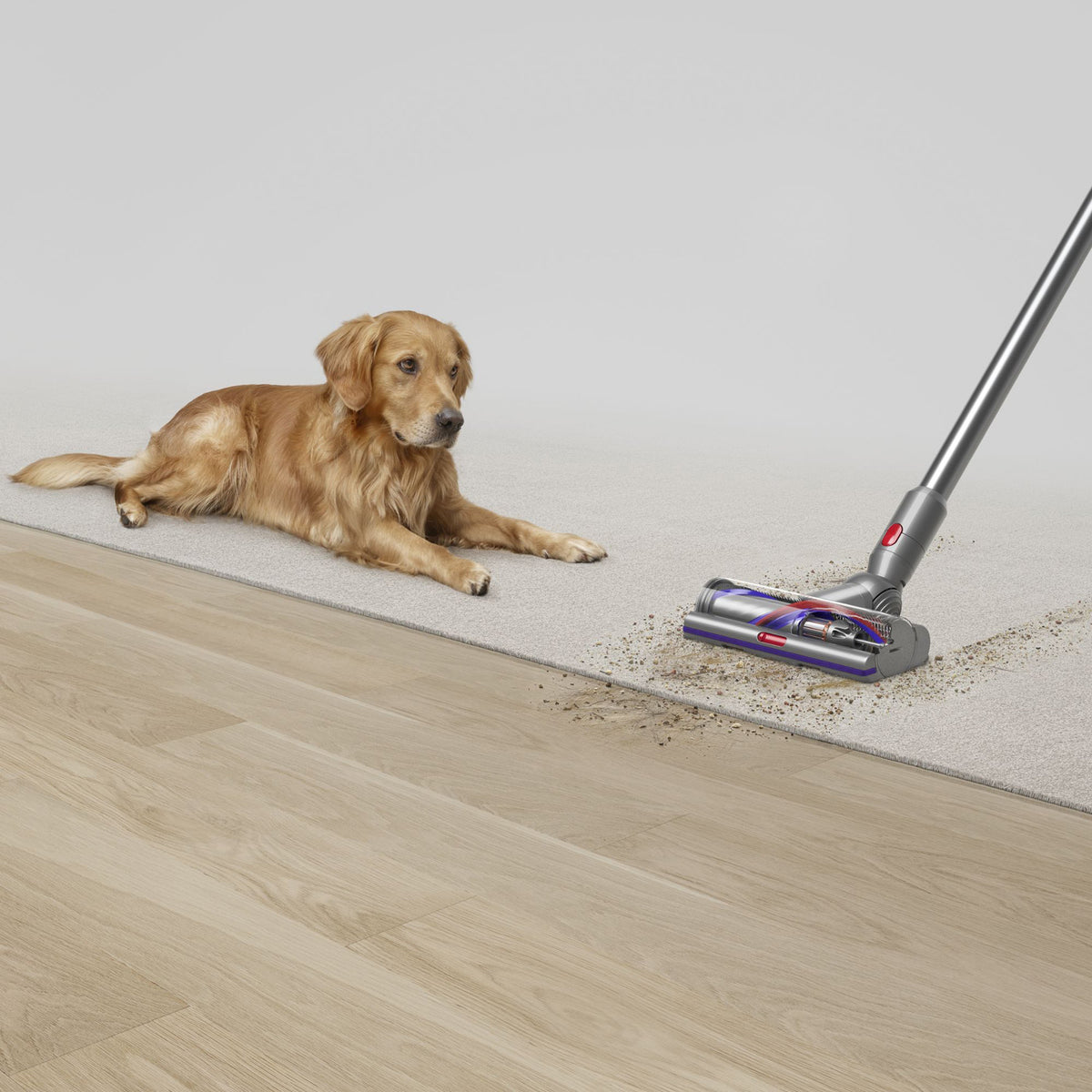 V15 Detect Cordless Vacuum in Yellow & Nickel
