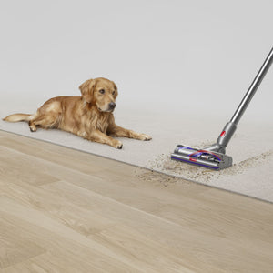 V15 Detect Cordless Vacuum in Yellow & Nickel