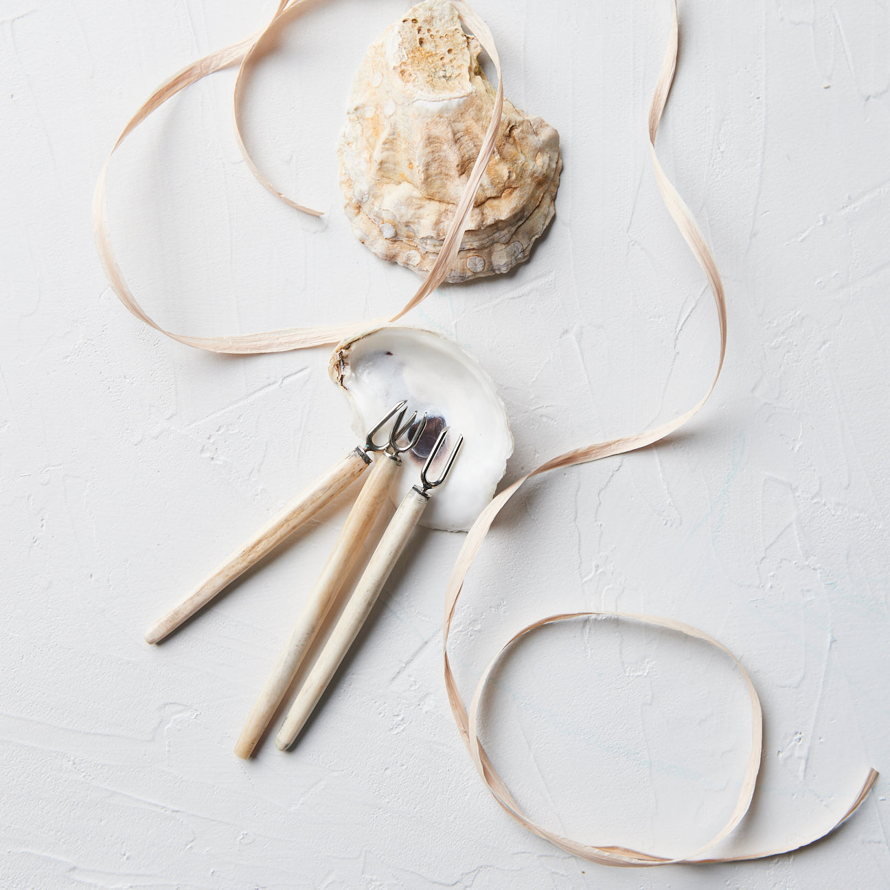 Argentinian Bone Server