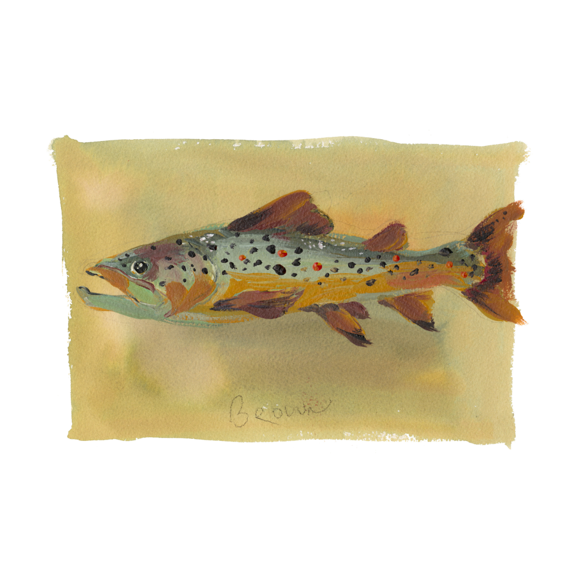 inslee watercolor art print fish