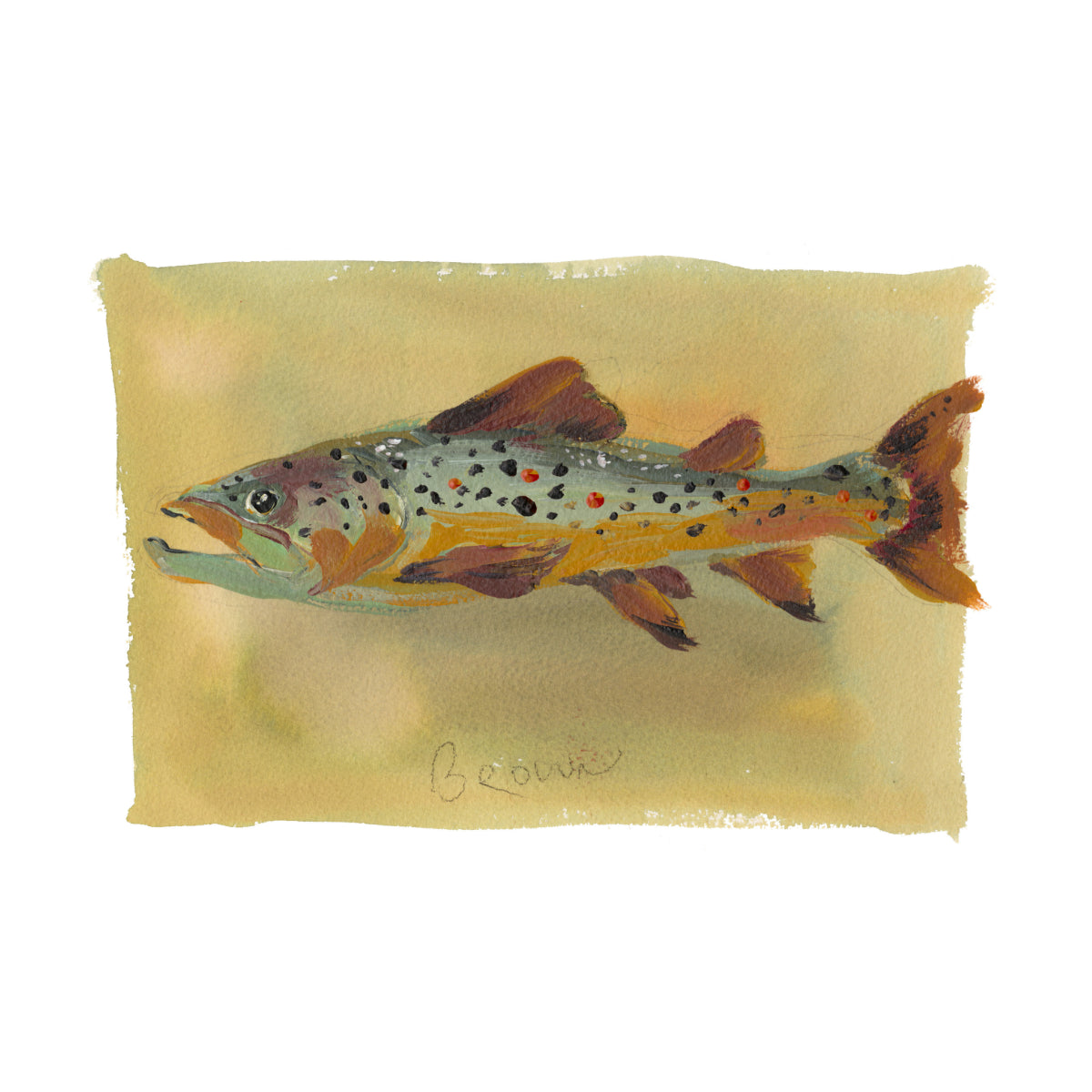inslee watercolor art print fish