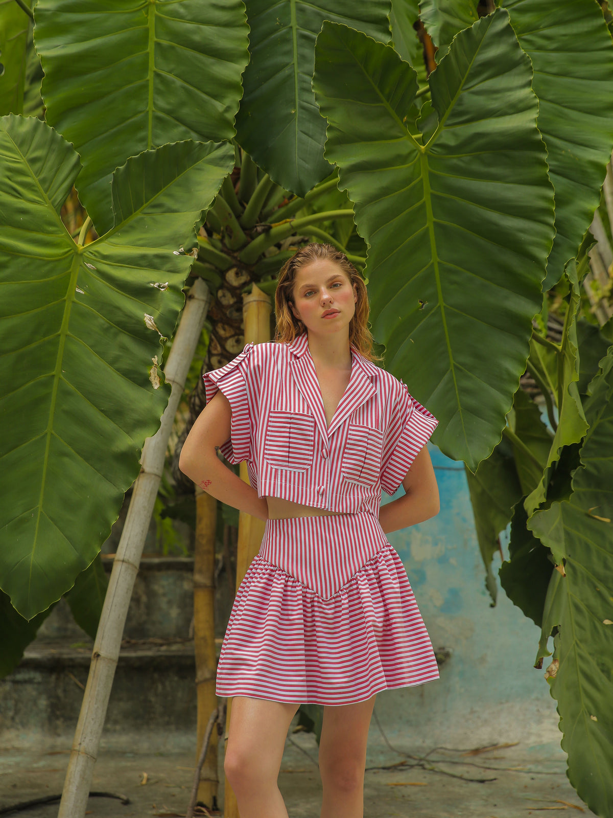 Guayaba Crop Top in Red Stripes