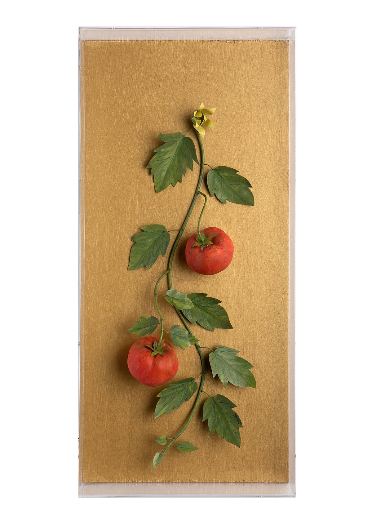 Large Vegetable Study Tomatoes On Gilded Linen