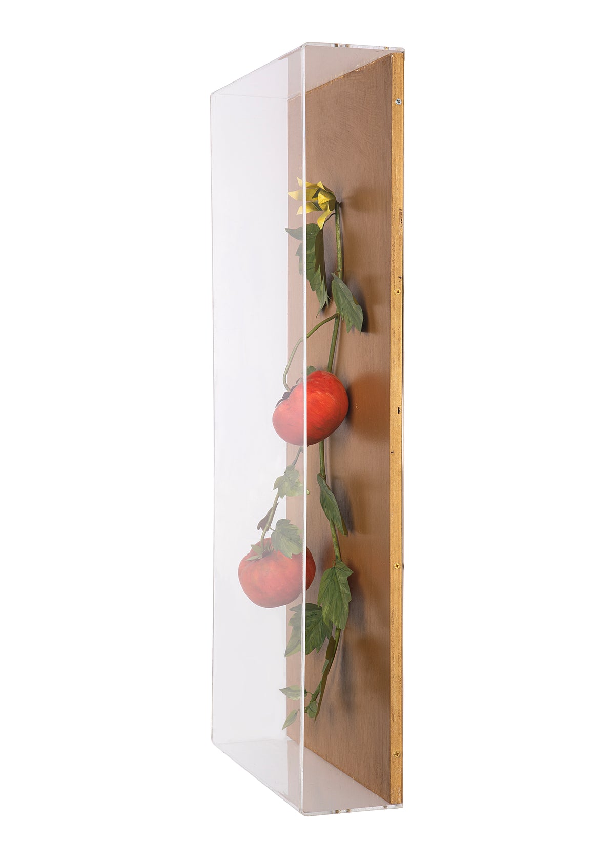 Large Vegetable Study Tomatoes On Gilded Linen