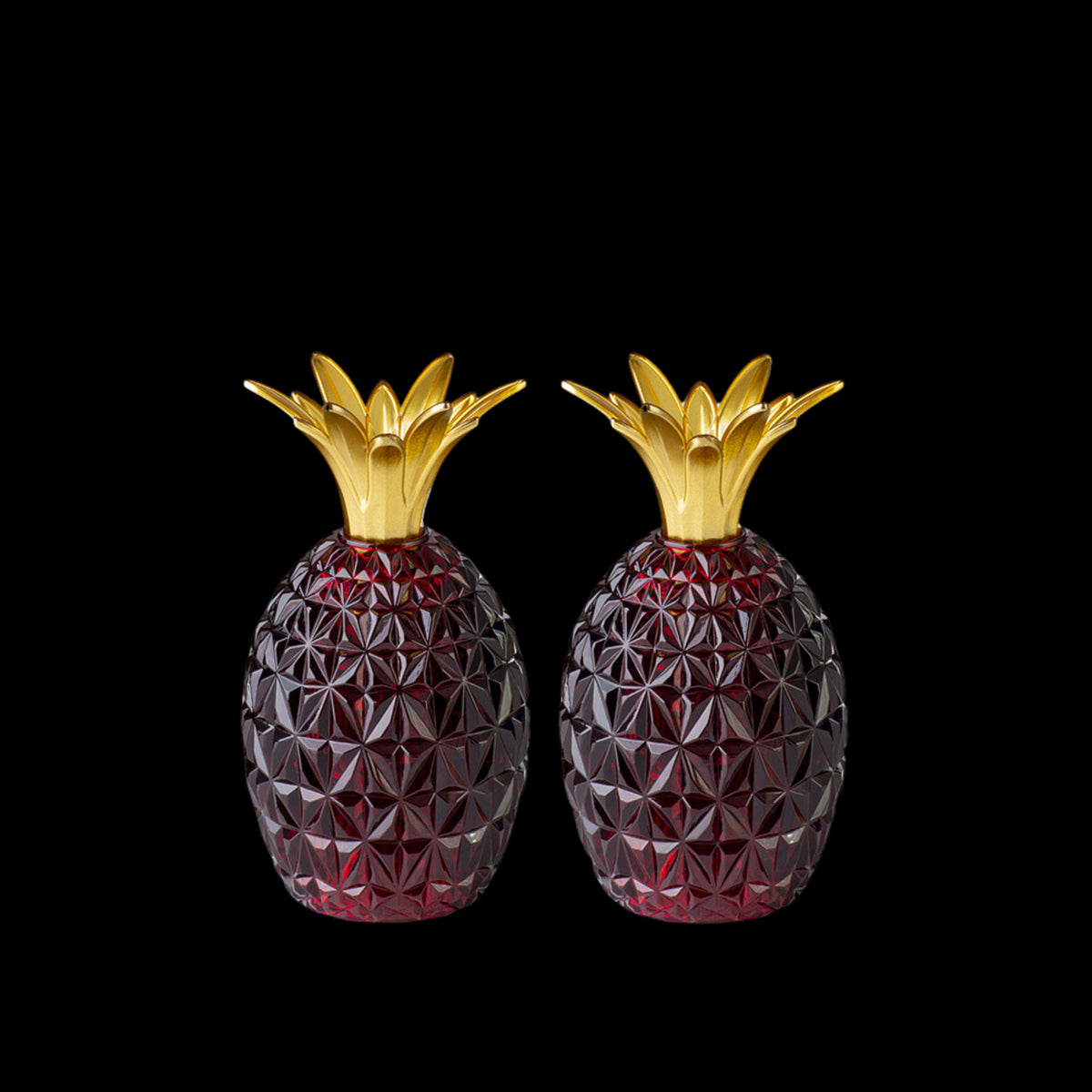 Caterina & Vittoria Acrylic Salt and Pepper