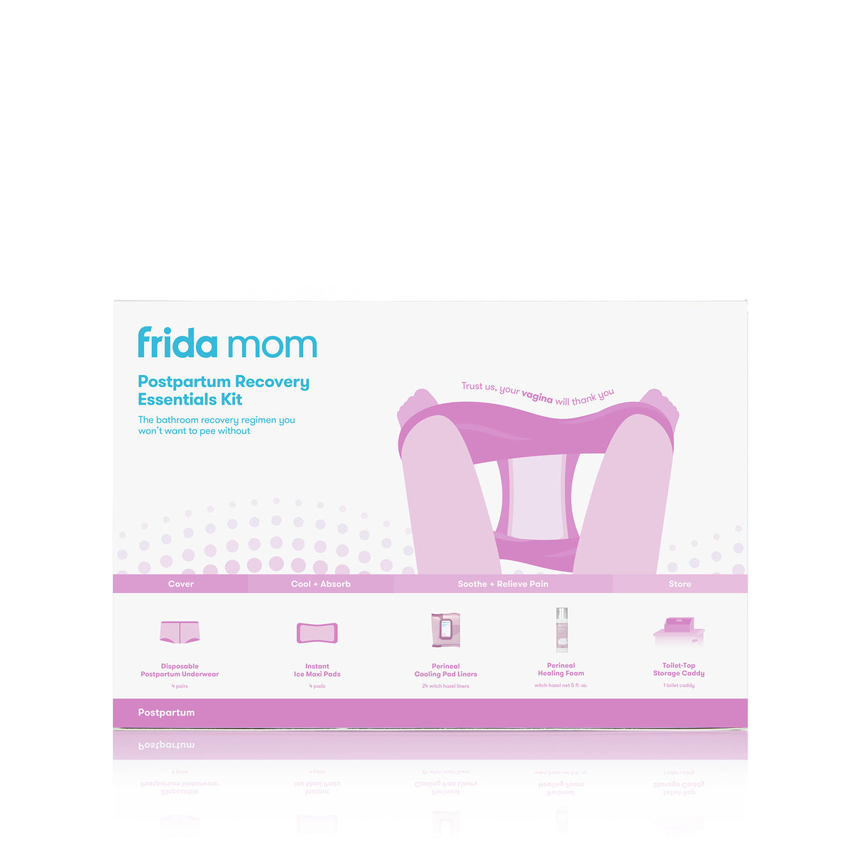 Frida Mom Labor & Delivery + Postpartum Essentials Complete Kit