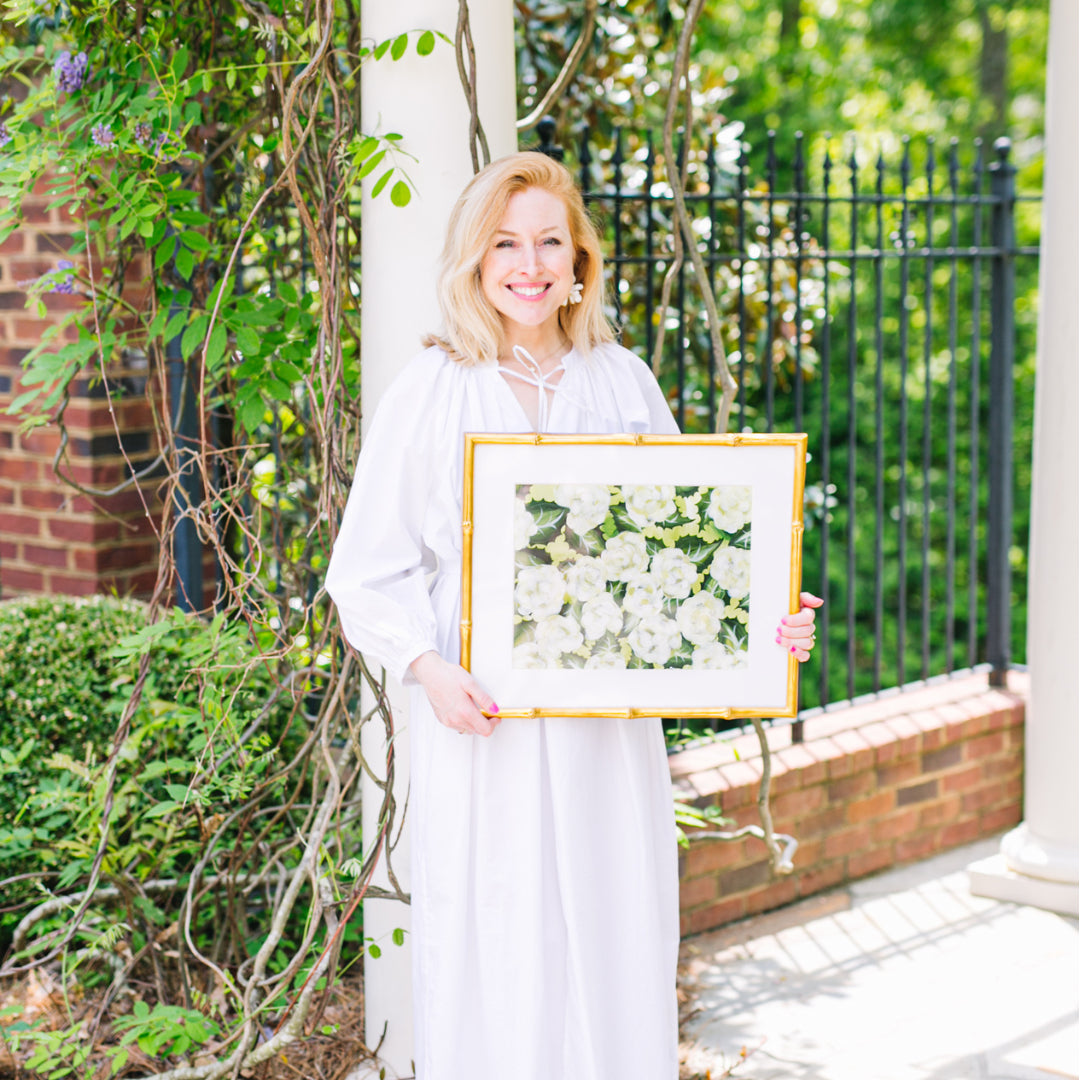 Original Limelight Hydrangeas