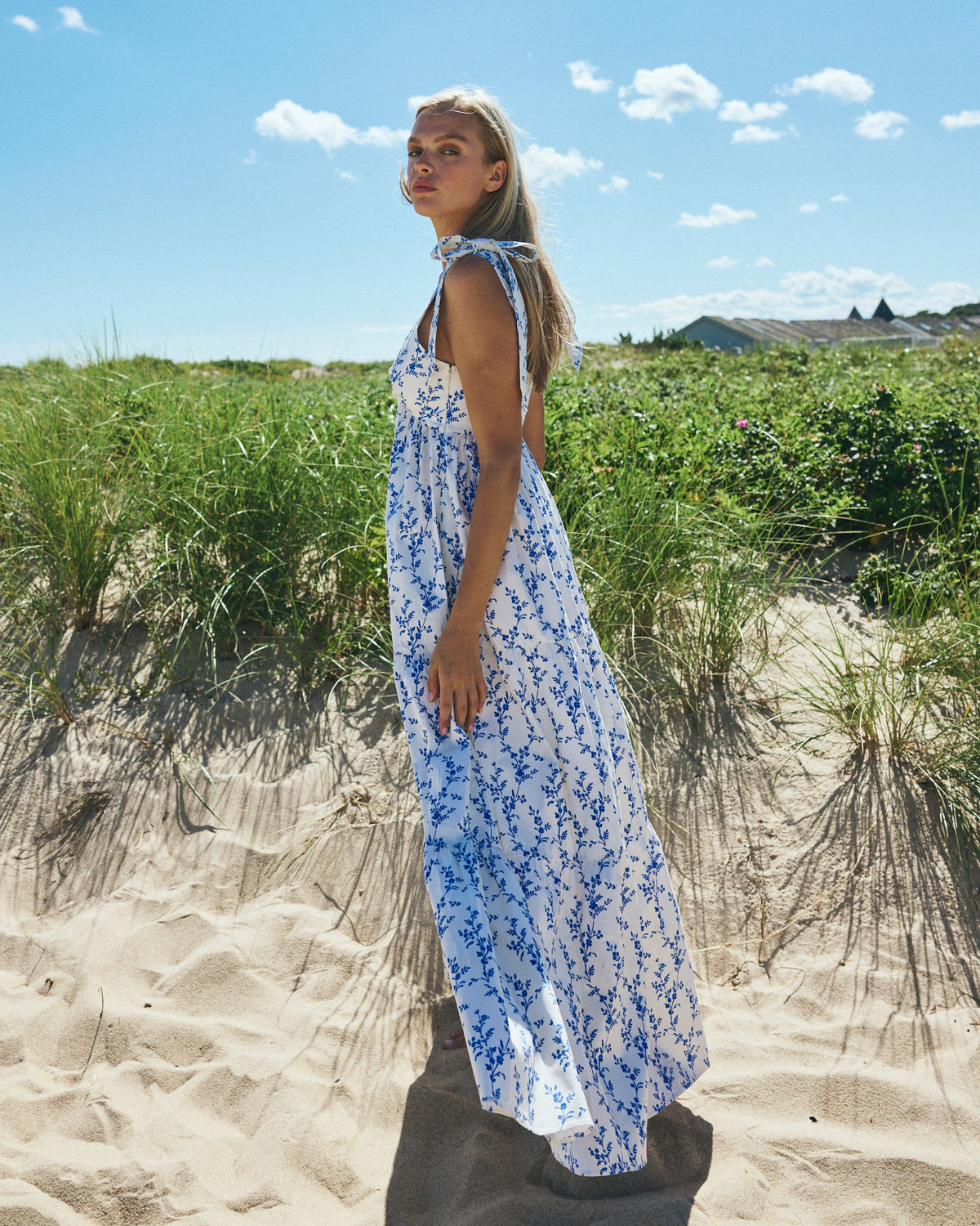 Betsy Dress in Floral Toile