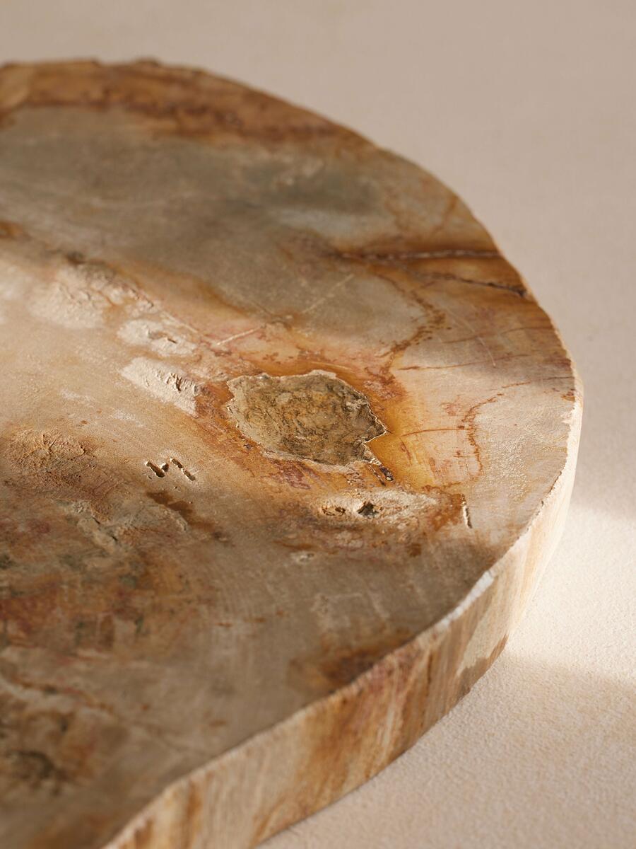 Balfern Petrified Wood Serving Board