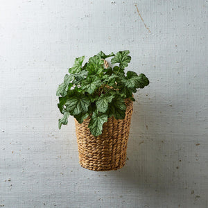 Rice Nut Weave Hanging Storage / Planter Basket