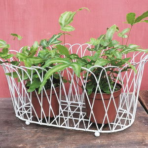 French Wireworks Alfabia Double Planter Basket with Antique White Finish