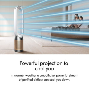 Purifier Cool De-Nox PC2 in White & Gold