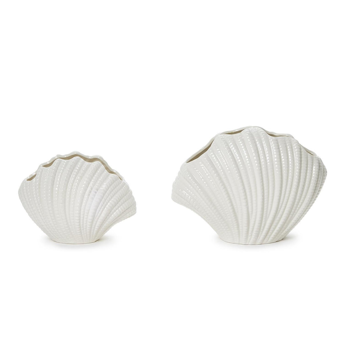 High Gloss White Shell Vases, Set of 2