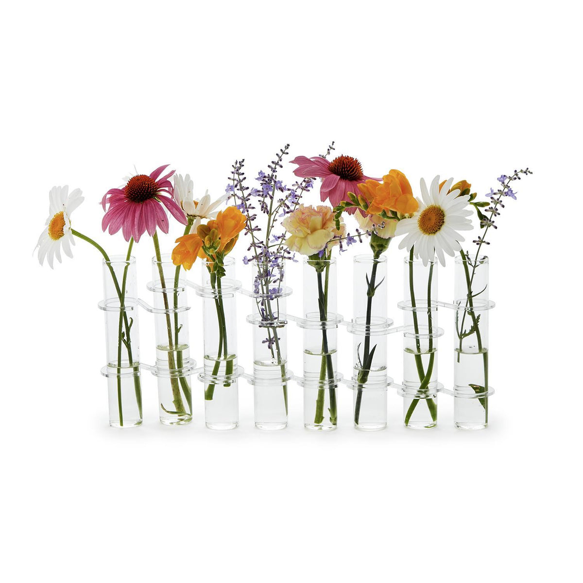 Hinged Tube Flower Vase & Arranger in Gift Box, Set of 8