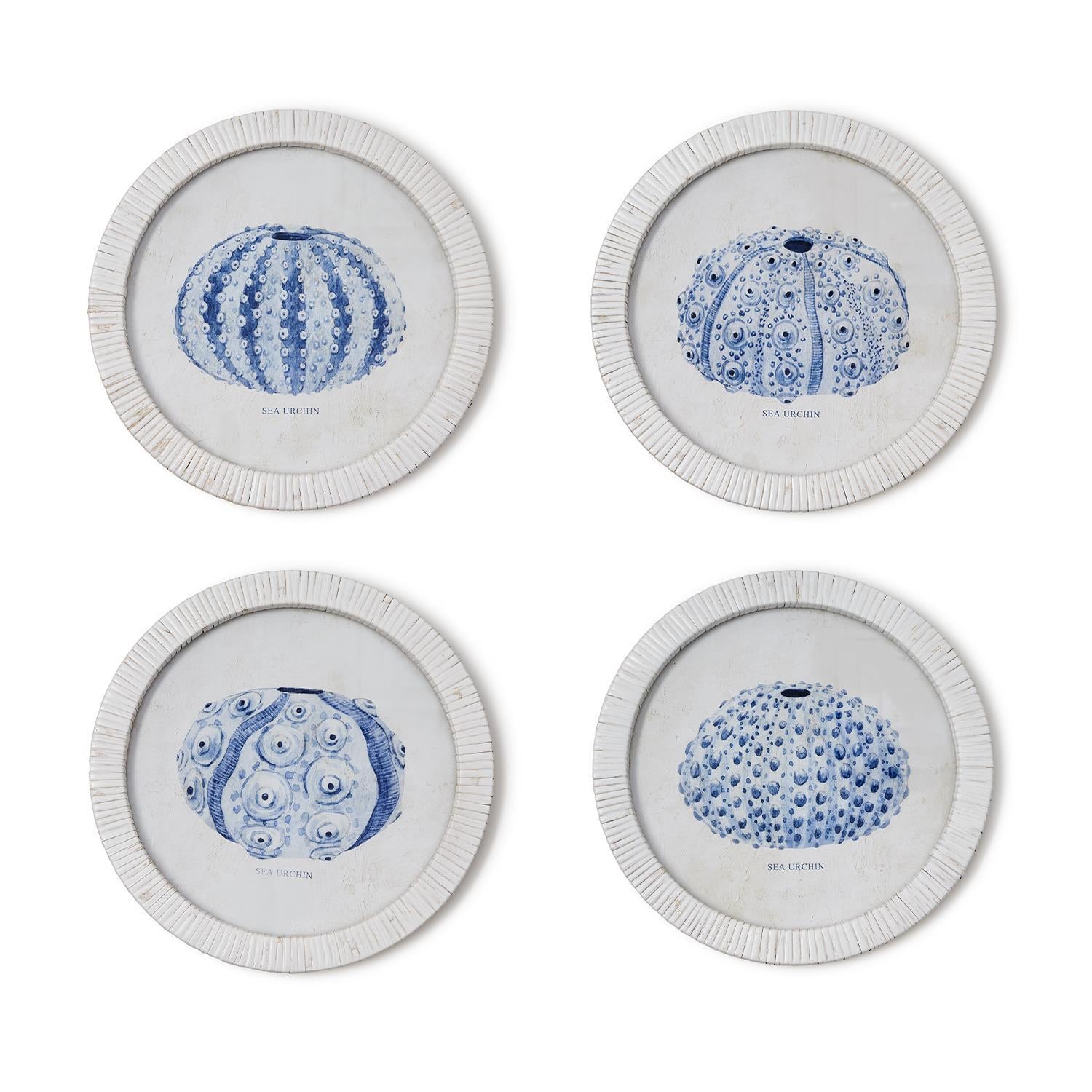 Sea Urchin Framed Prints, Set of 4