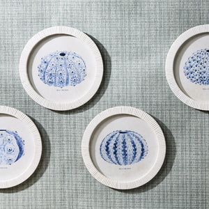 Sea Urchin Framed Prints, Set of 4