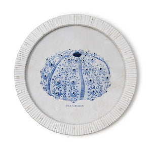 Sea Urchin Framed Prints, Set of 4