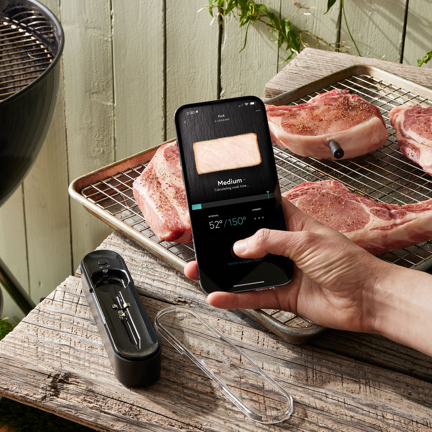 Yummly Smart Thermometer