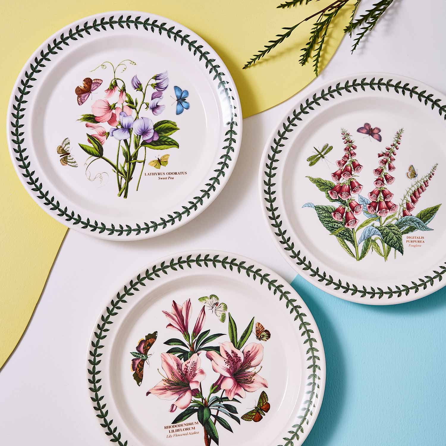 Botanic Garden Set of 6 Plates