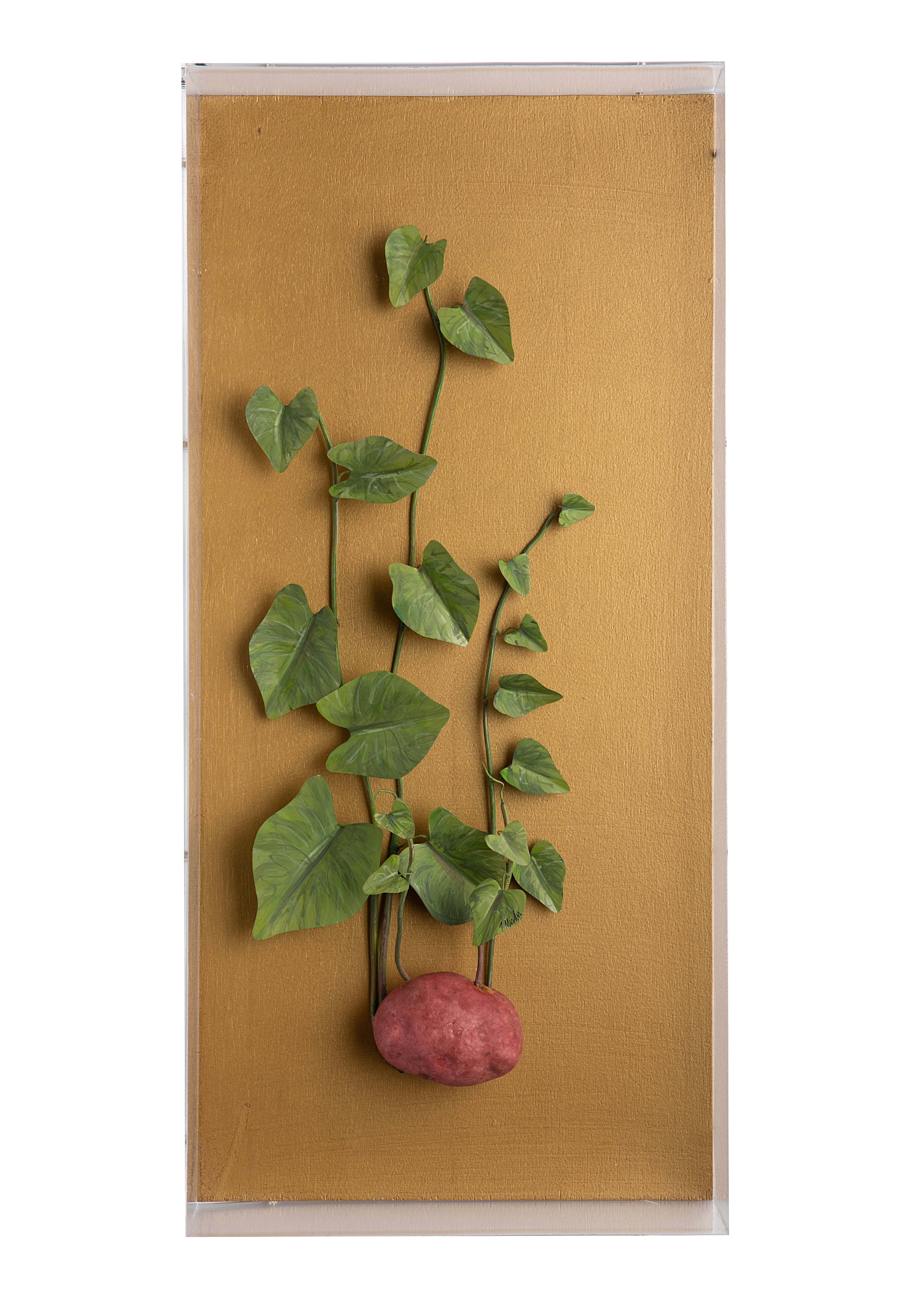 Large Vegetable Study Potato On Gilded Linen