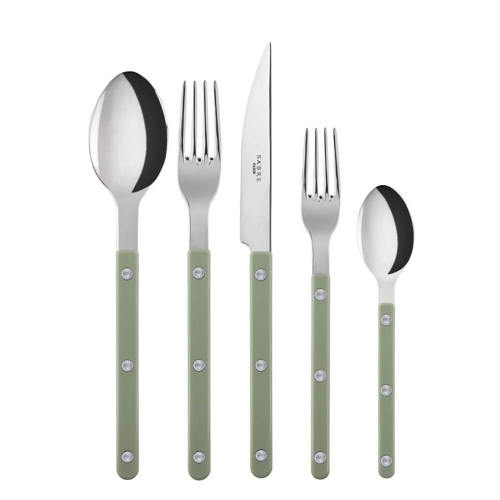 Bistrot Place Setting in Asparagus, Set of 5