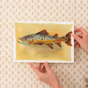 Brown Trout Print