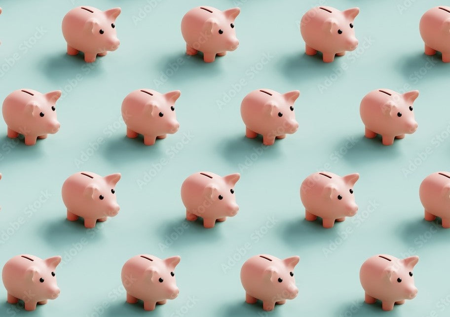 529 Savings Account Contribution