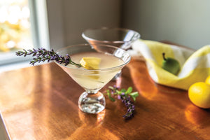 Benson Martini in Gift Box, Set of 2